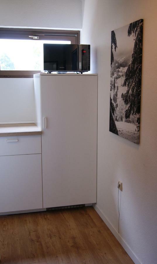 Ferienwohnung Schwarzwaldlust Schluchsee Bagian luar foto